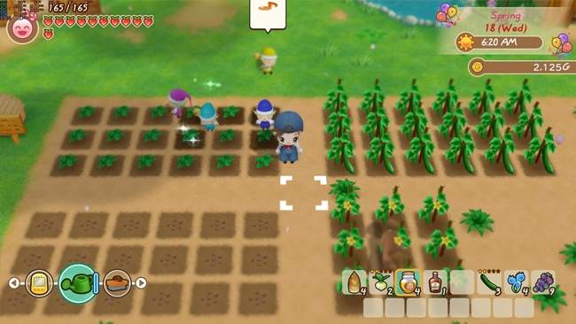 Story of Seasons Friends of Mineral Town Free Download PC Game