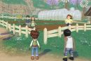 STORY OF SEASONS A Wonderful Life PC Gameplay