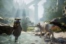 Beast of Reincarnation PC Gameplay